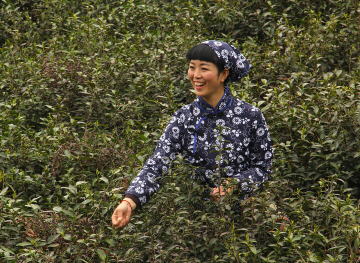 推荐3